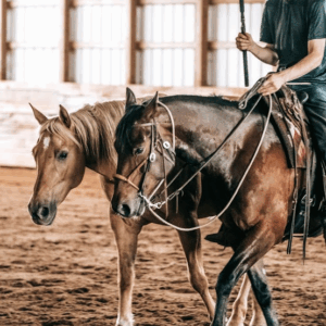 Riding Spot - Connection and Harmony Clinic
